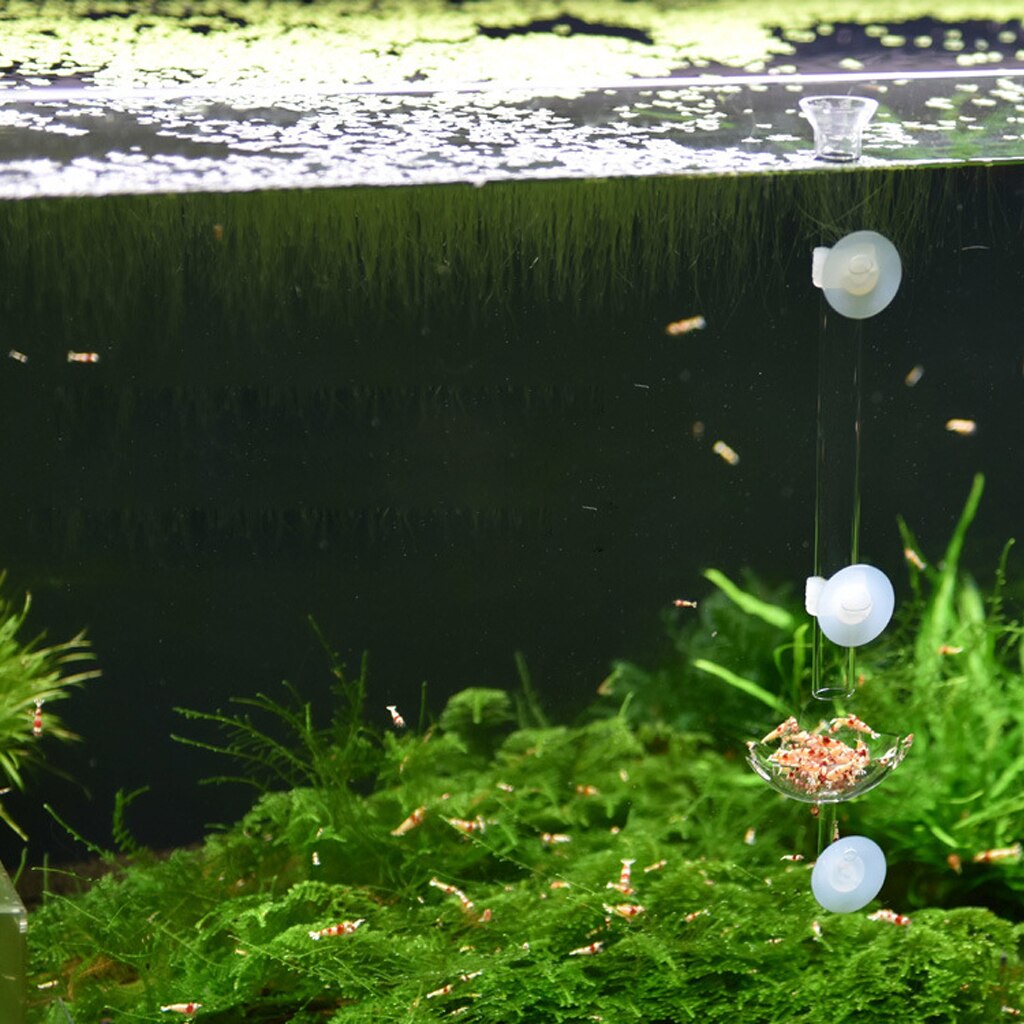 Räkor fisk matskål suger bricka behållare för akvarie akvarium klar behållare fisk akvarier matare miljövänligt-fre