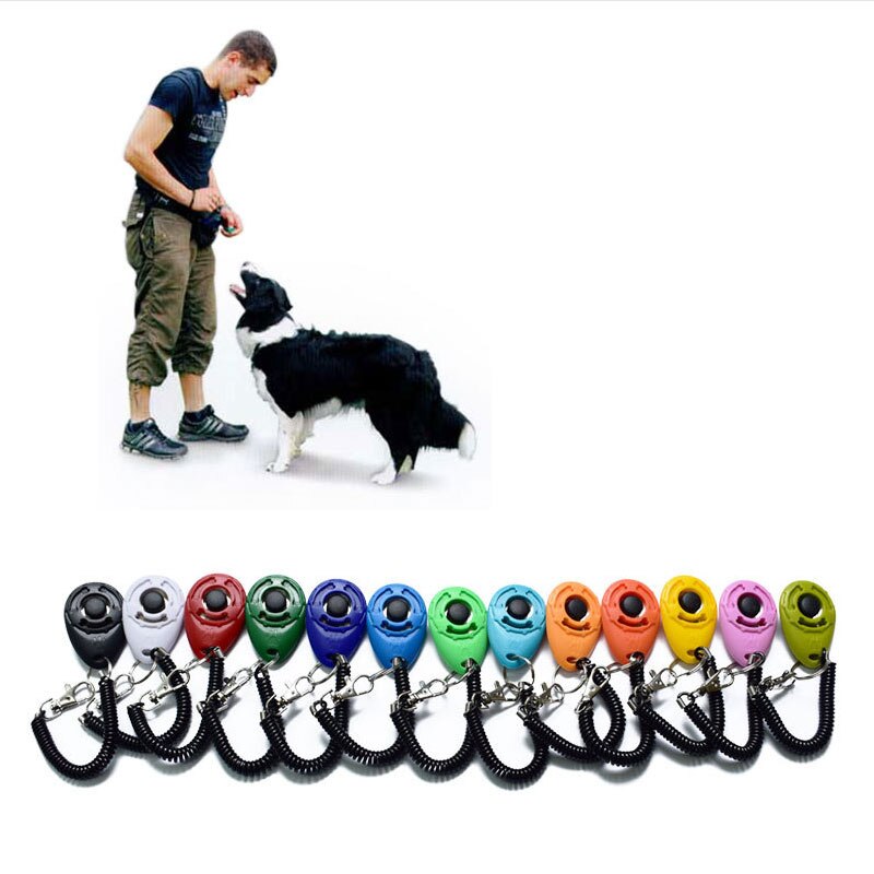 Correa de plástico inteligente para adiestramiento de perros, accesorio para entrenamiento de mascotas, 10 unids/lote