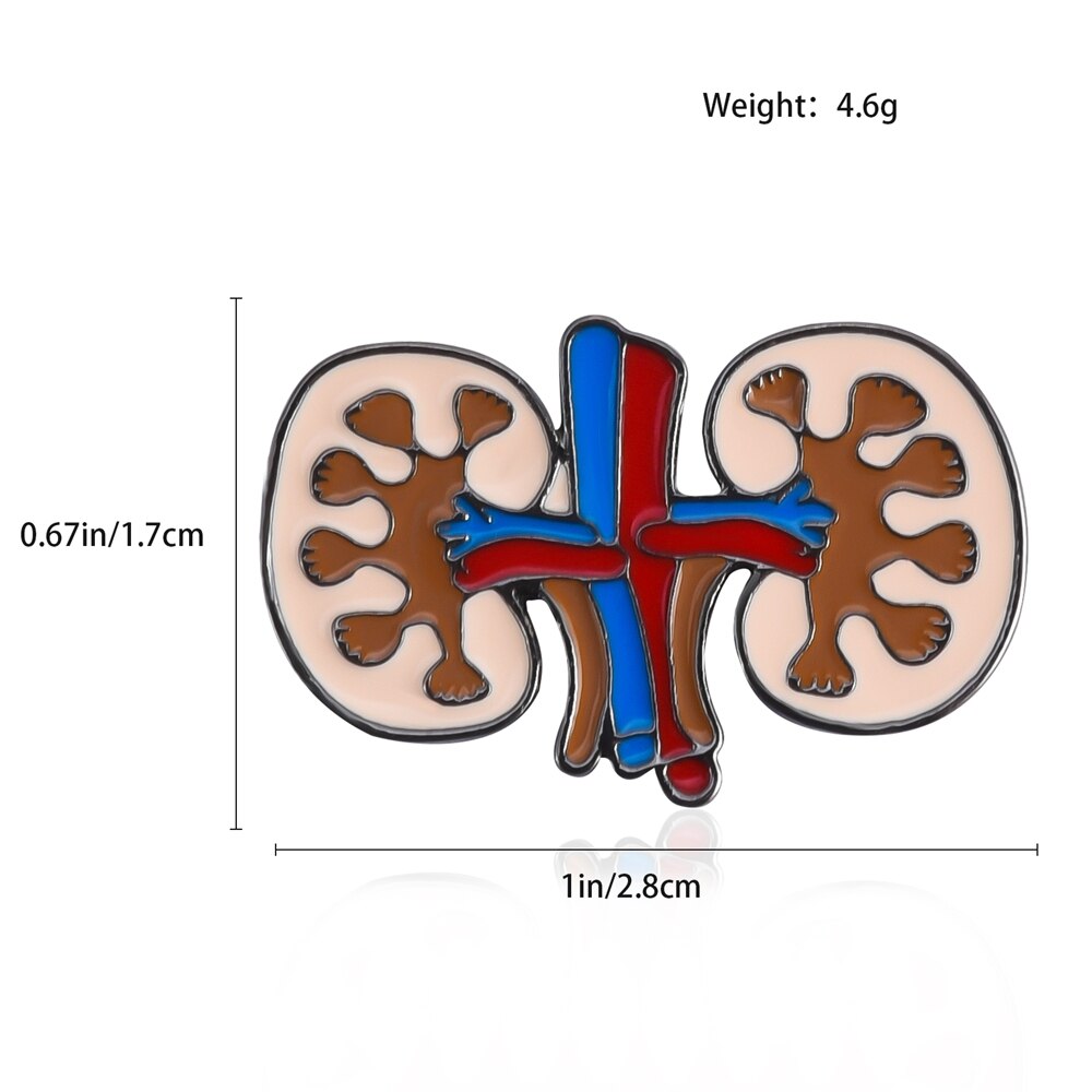 Hanreshe Medische Emaille Lung Nier Broche Pins Bloedvaten Menselijke Organen Anatomie Revers Badge Sieraden Voor Artsen Verpleegkundigen: Default Title