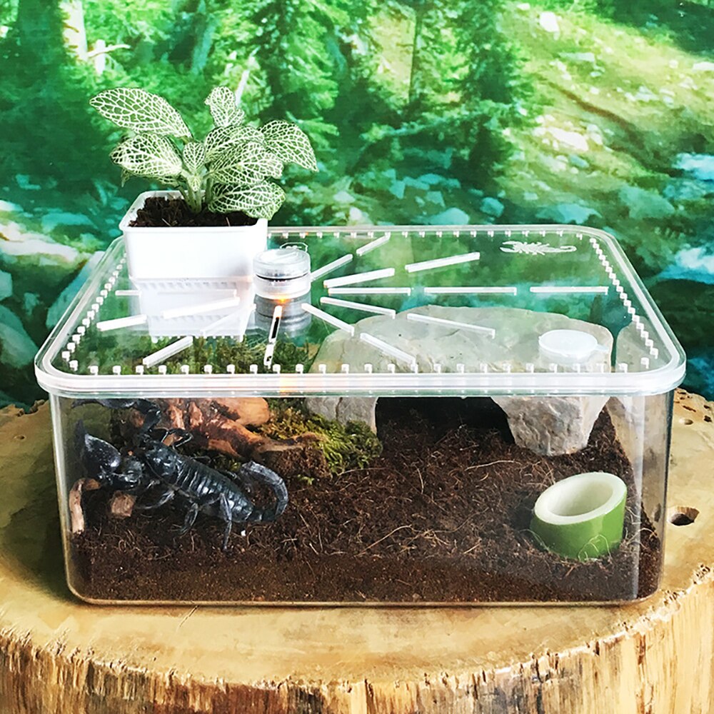 Small Desktop Reptile Box Transparent Plastic Acrylic Reptile Breeding Box Spider Scorpion Small Pet Hatching Breeding Box