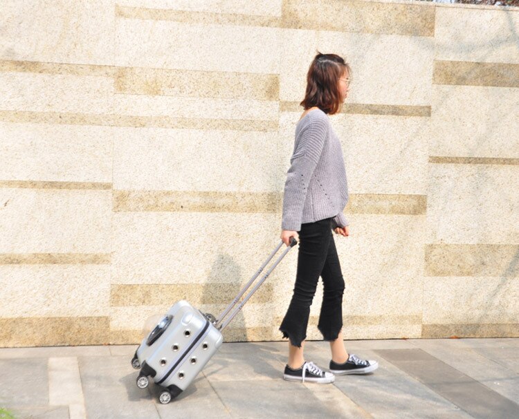 zwierzę domowe wózek Kot na wolnym powietrzu przenośny transport walizka kapsułka zwierzę domowe uniwersalny koło oddychający o dużej pojemności przewoźnik dla kota