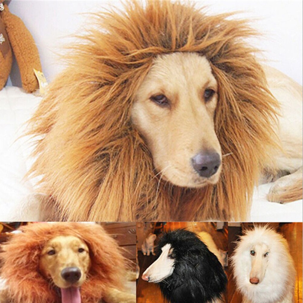 Lion perruques crinière cheveux grand chien chat Lion perruques Festival drôle chapeau déguisement vêtements Costume Lion crinière perruque mignon chapeau
