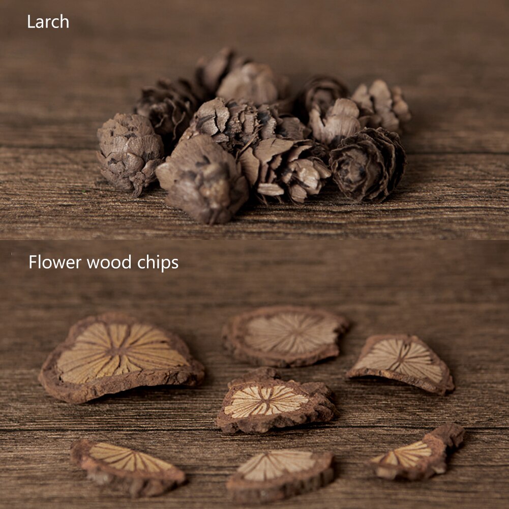 10pcs Natural Plants Pine Cones ins Photography Props Wood Chips Larch Background Accessories for Photo Studio Home Decoration
