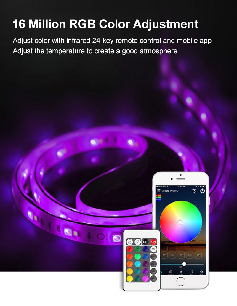 Wifi Intelligente Controller Kleurrijke 24 Key Dual Load Rgb Licht Met Controller Alexa Voice