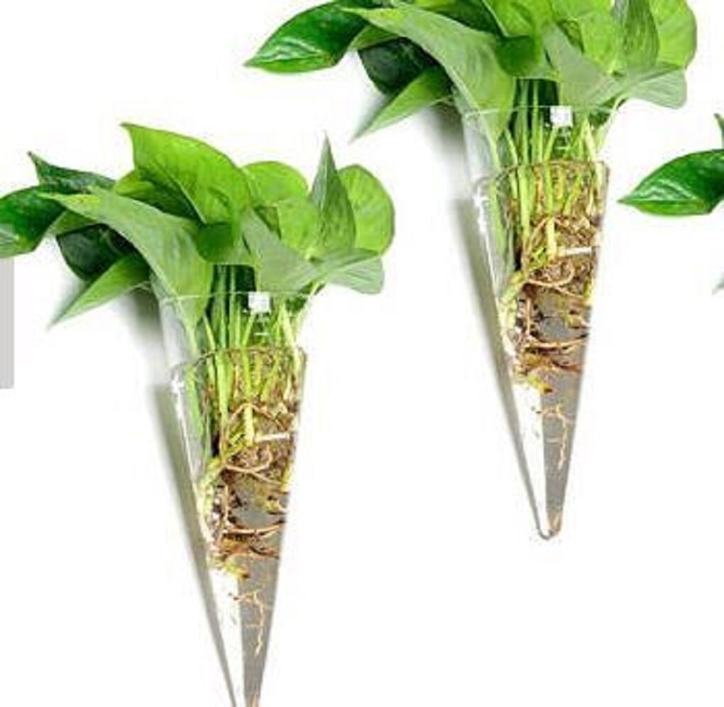 Maceta colgante de pared de cristal triangular transparente para plantas, jardinera de terrarios, soporte para flores, jarrón, decoración de interior para el hogar: triangle
