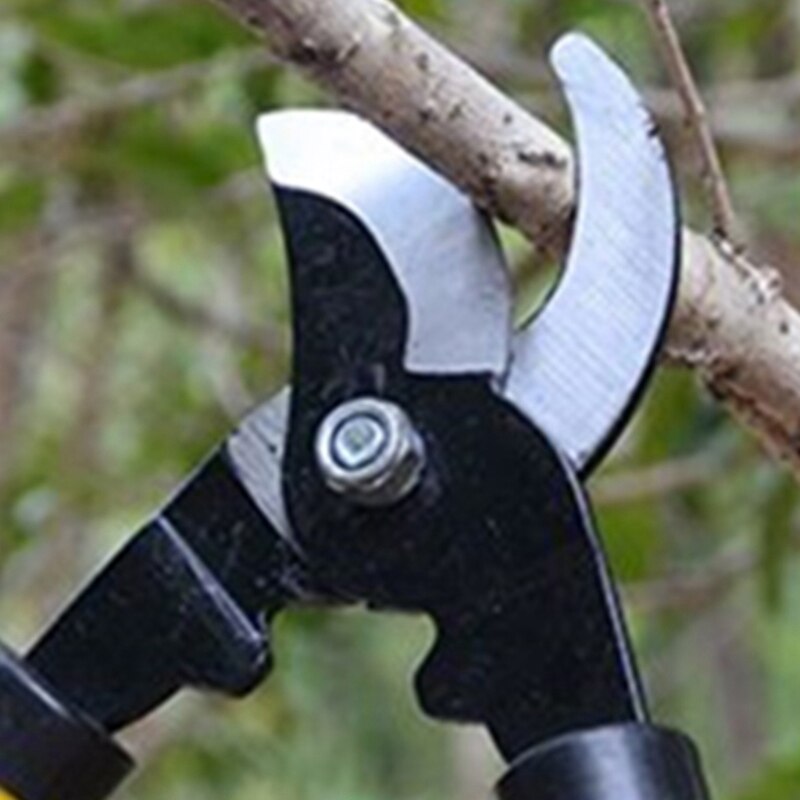 Gartneri beskæring beskæring langskaftet bonsai gren beskæring gartneri værktøj have tyk gren beskæring beskæring frugt tr