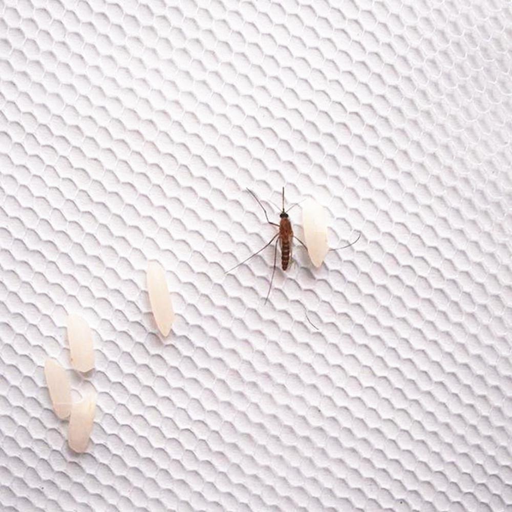 Self-adhesive Window Door Screen Netting Mesh Curtain Patch Repair Kits Anti Mosquito Fly Bug Net Mosquitoes Repellent Killer