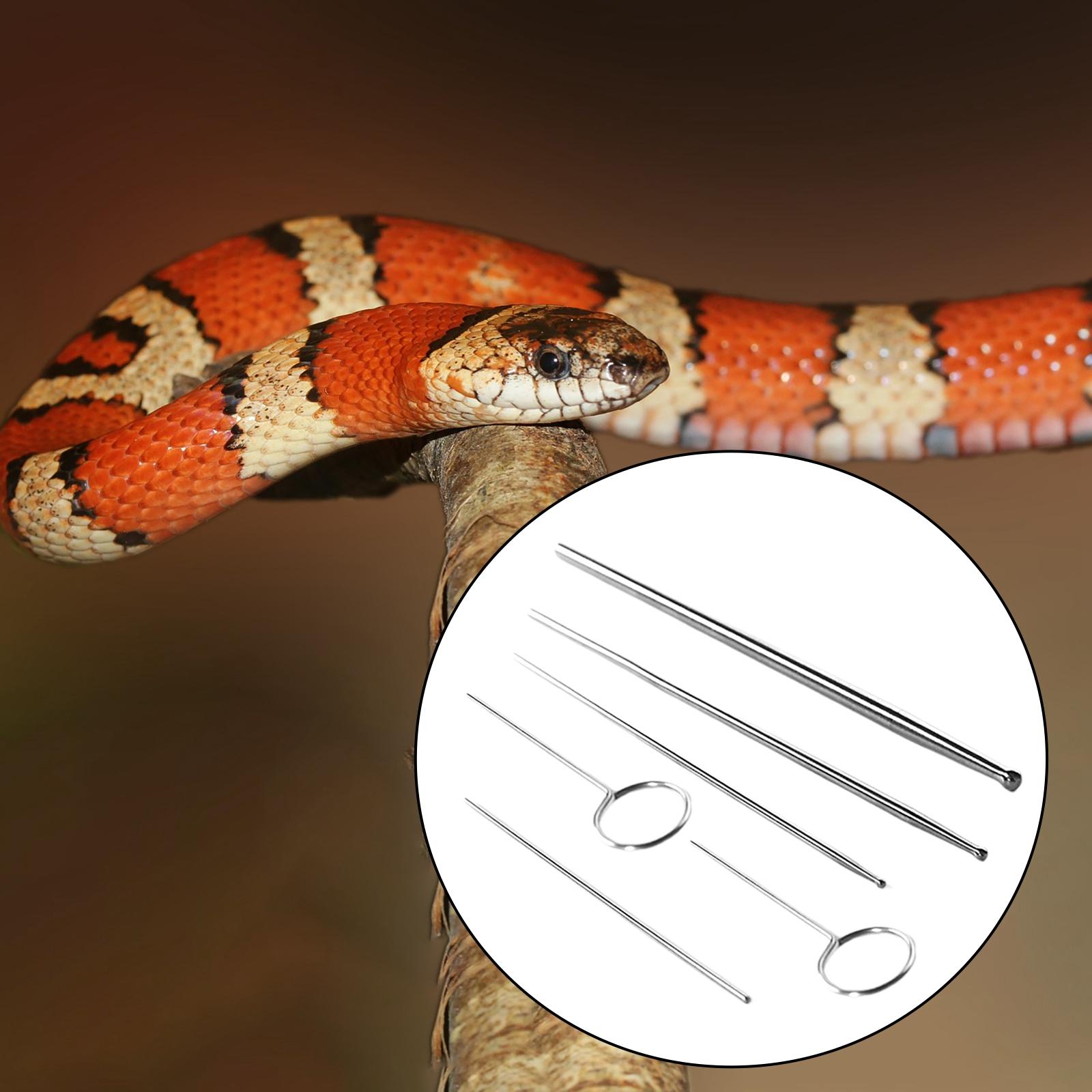 Pack-6 Snake Gender Detector Kit Different Size with Case High Performance Durable Simple Operation Premium Compact