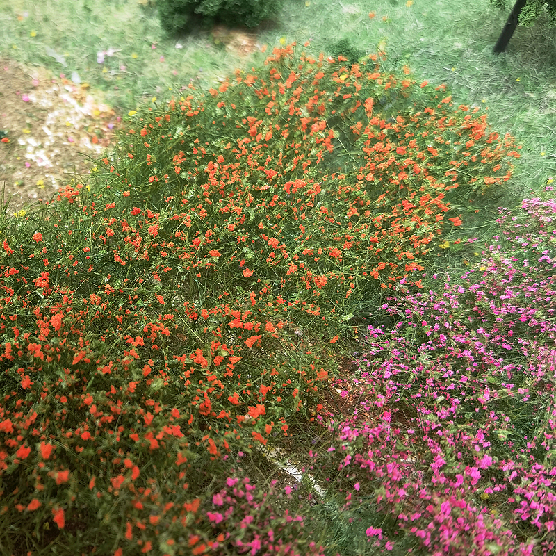 Simuleringsmodell gress plen håndrevne blomsterklaser modellbygging hagedekorasjon gjør-det-selv-materialer modell forstad vegetasjon