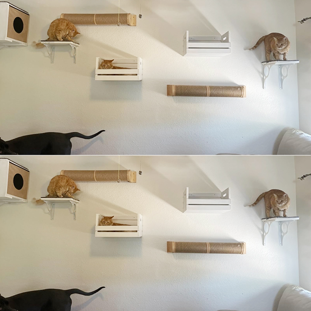 Panier mural en bois pour chat, étagère pour chat, lit de perche, hamac de couchage, grattage d'escalade, meubles muraux modernes pour chats