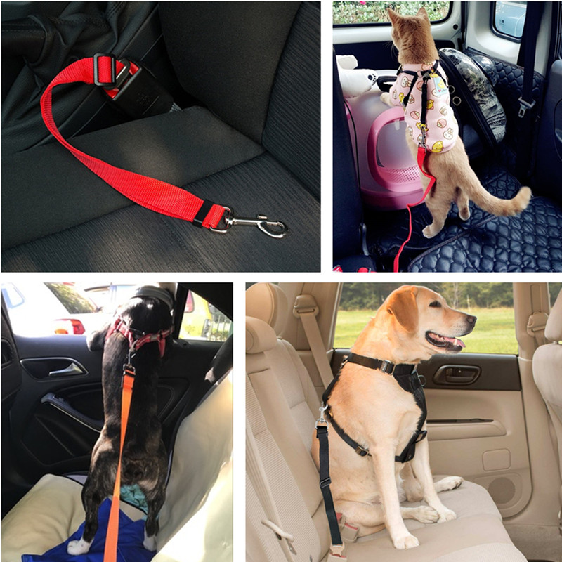 Veilig Rijden Huisdier Autogordel Nylon Ajustable Kat Hond Harnas Leiband Pet Seat Belt Travel Clip Voor Medium kleine Hond