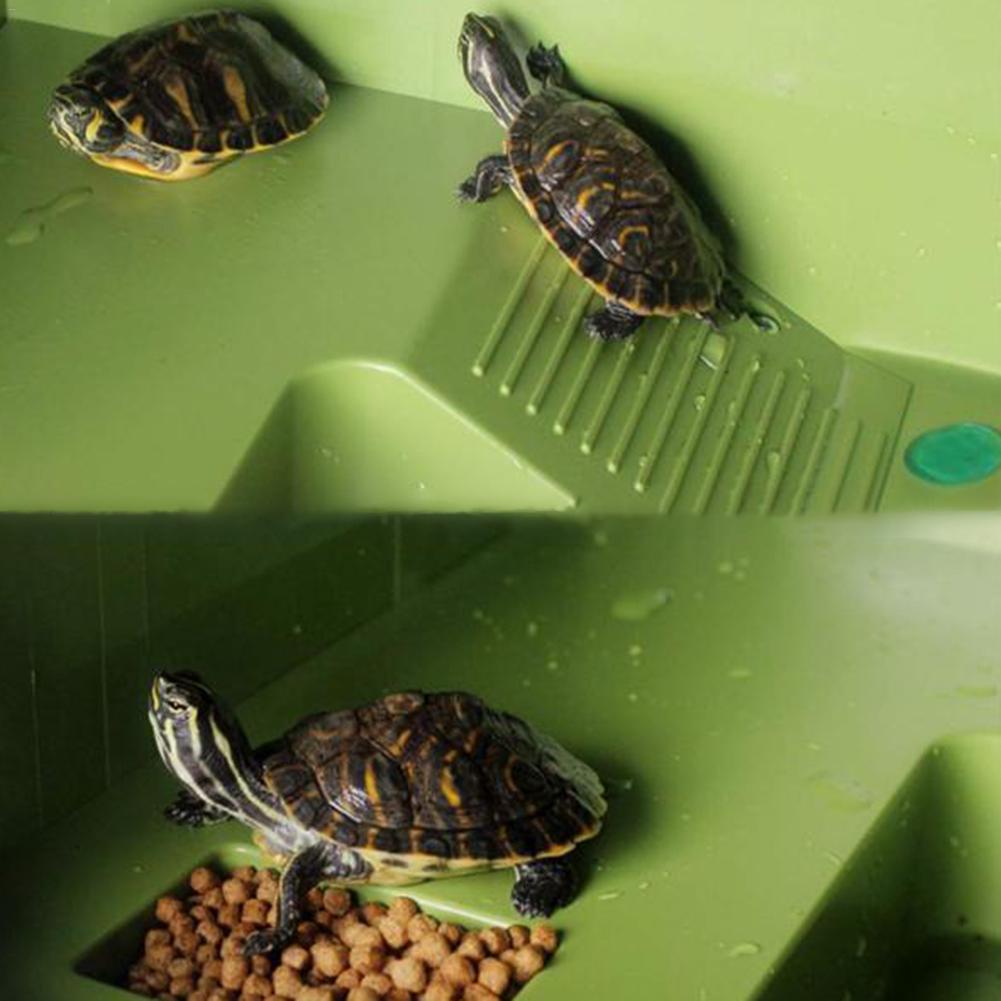 Plate-forme pour tortue | Plate-forme pour séchage des tortues, abri grotte avec creux pour fournitures d'animaux de compagnie