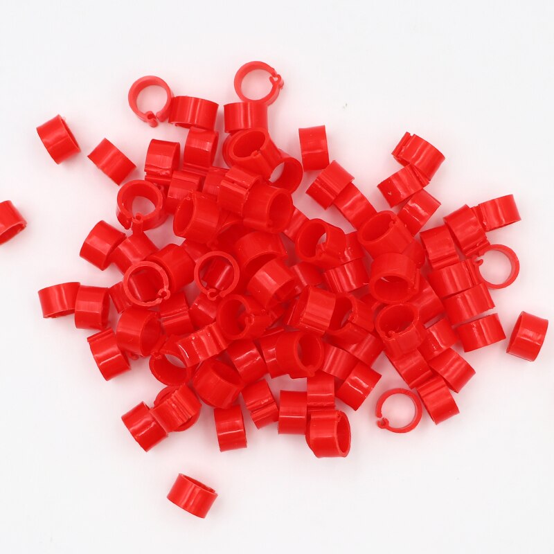 Anillos de plástico para pies de palomas y codorniz, suministros para aves pequeñas, 10 colores, piezas, 100: Negro