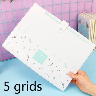 DELI File Folder Expanding Wallet Kawaii Pupil Test Paper Storage and Organizer Bag Office Document Bag Display Book File Folder: B1