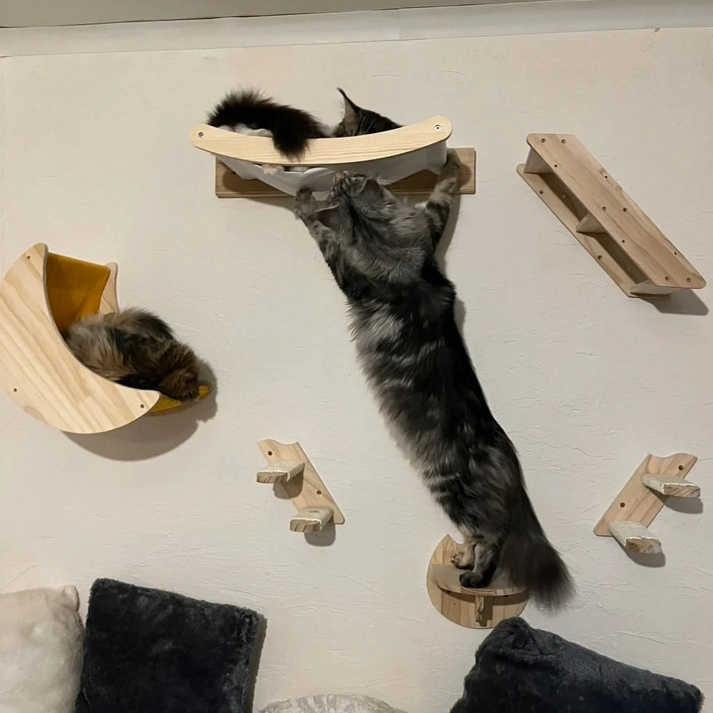 Wall-Mounted Cat Climbing Frame Wooden Cat Tree Cats Hammock Scratching Post Pedal Jumping Platform Indoor Pet Wall Furniture