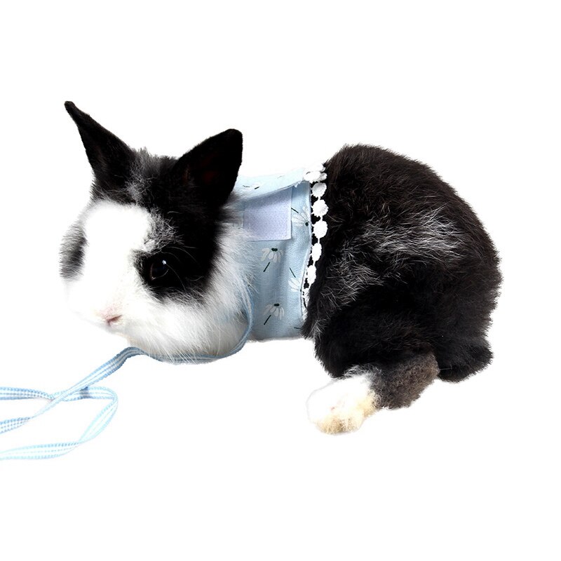 Small Pet Guinea Pig Rabbit Harness and Leash Chest Strap Vest for Animals Squirrel Hedgehog Outdoor Walking Clothes