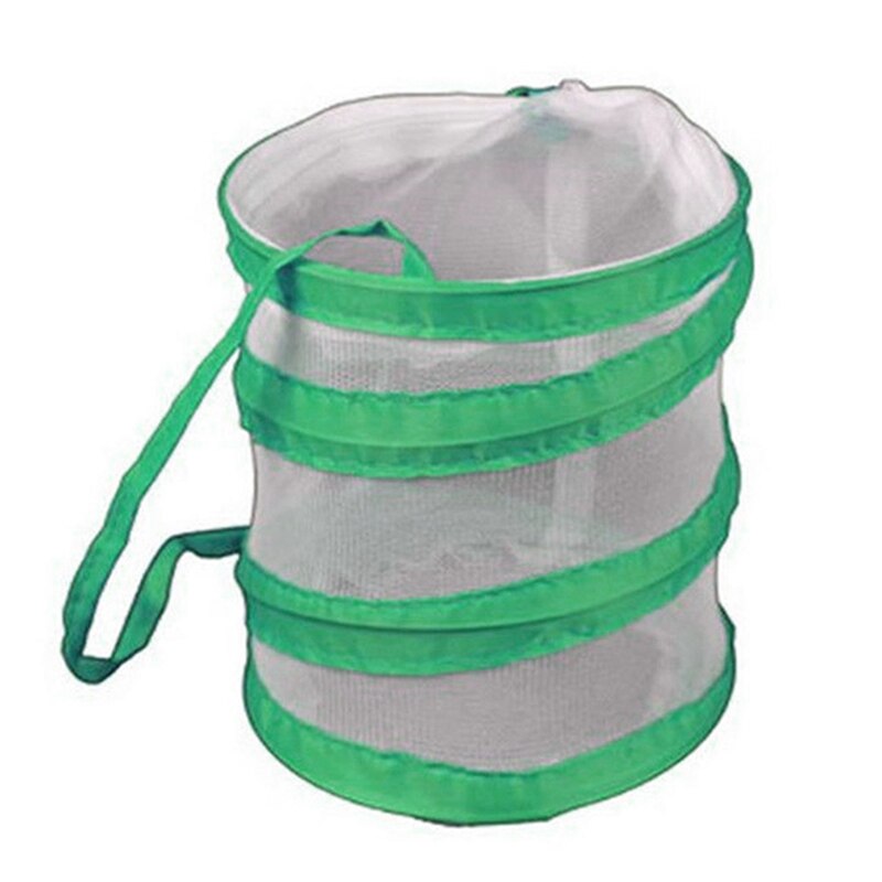 Portable Folded Insect Cage Collapsible Plant Greenhouse Light Transmitting Observation Network Kids Biology Class Accessories