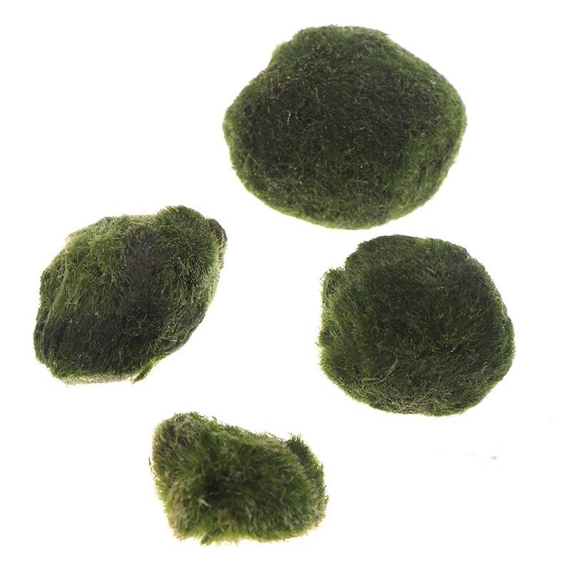 Moss Stone Lifelike Vivid Moss Balls Decorative Balls for Glass Jar Terrarium Aquariums Landscaping Plant Fish Tank Decor