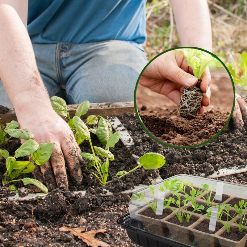 8 Pack Seed Starter Kit Seed Trays With Humidity Dome And Biodegradable Peat Pots Seedlings Tray Seed Germination Kit