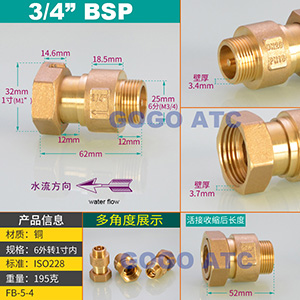 DN15/DN20/DN25 1/2 3/4 1 inch brass In-Line spring vertical check valve for Water meter female male one way valve: FB-5-4
