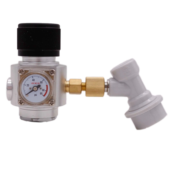 304 Stainless Steel Mini Keg Tap Dispenser with Plastic Ball Lock Disconnects for Mini Craft Beer Growler Homebrew Spear: Pink