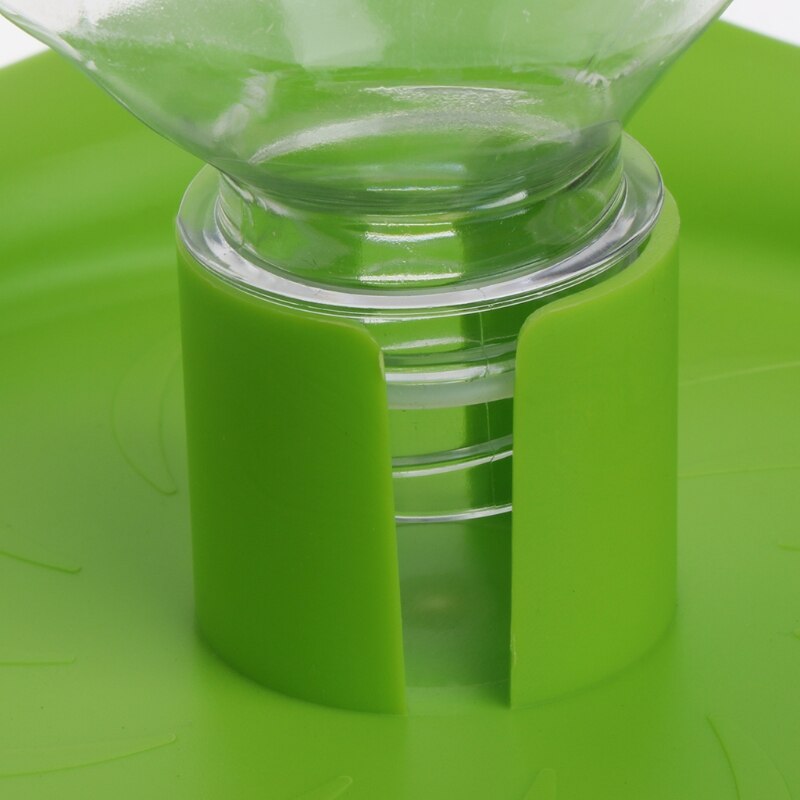 Drinkbak voor reptielen, voerbak, voerbak voor hagedissen, voerbak, fles