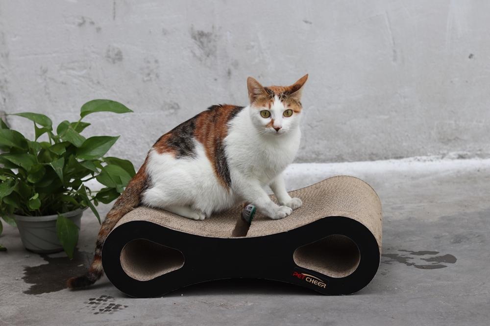 Cat Scratcher Lounge Fat Cat Bed Cardboard Paper Cat Toy Scratching Pad