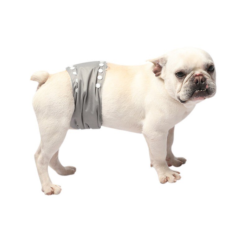Cane Pantaloni Pannolino Riutilizzabile Lavabile Cane Fisiologici Shorts Durevole Comodo Biancheria Intima Slip Pantaloni Per Cani Chihuahua: GY