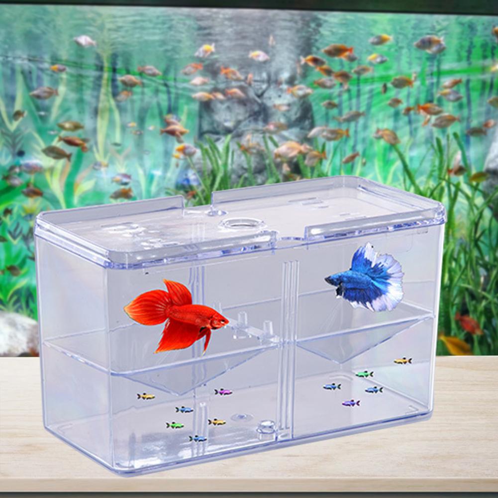 Fish Isolation Box Safe Aquarium Breeding Tank Isolation Box Home Use Fish Hatching Box