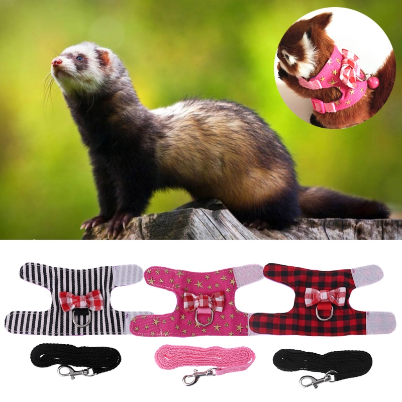 Harnais pour petit animal domestique, ensemble de laisses, furet cochon d'inde Hamster, sangle de poitrine, harnais souple réglable