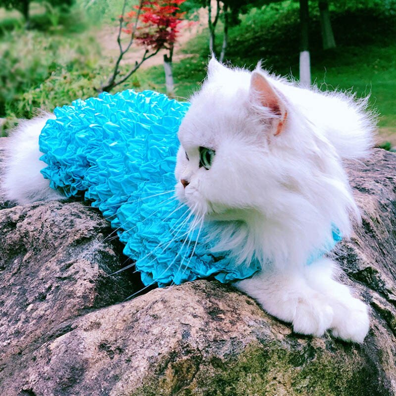 Cute Pet Cat Clothes for Cat Clothing Pet Clothes for Cats Coat Jacket Clothing for Cats flexible size fit for 1-10kg Pets: Blue