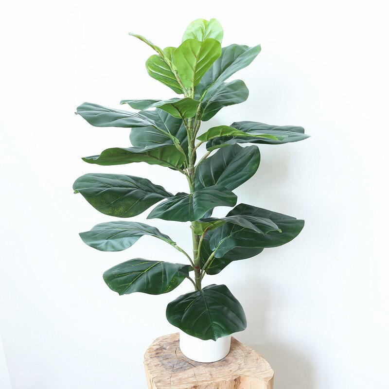 Film Lamination Plastic Simulation Plant Ficus Lyrata Single Stem Green Handfeel Plant Photography Shooting Props