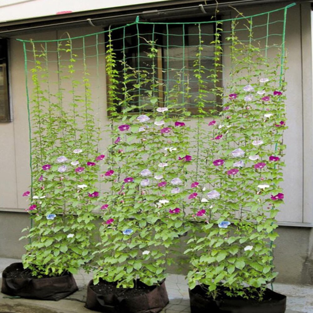 Tuinieren meloen vrucht ochtendglorie klimbloem klimnet klimtouw nylon bloemen huis tuin praktisch plantengereedschap r