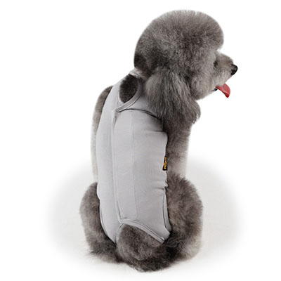 Huisdier Kat Effen Shirt Vesten Clotes voor Hond Puppy T-shirt Katoen Viervoetige Jas Kleding Medische Zorg Wondgenezing Kleding: Grijs / XS