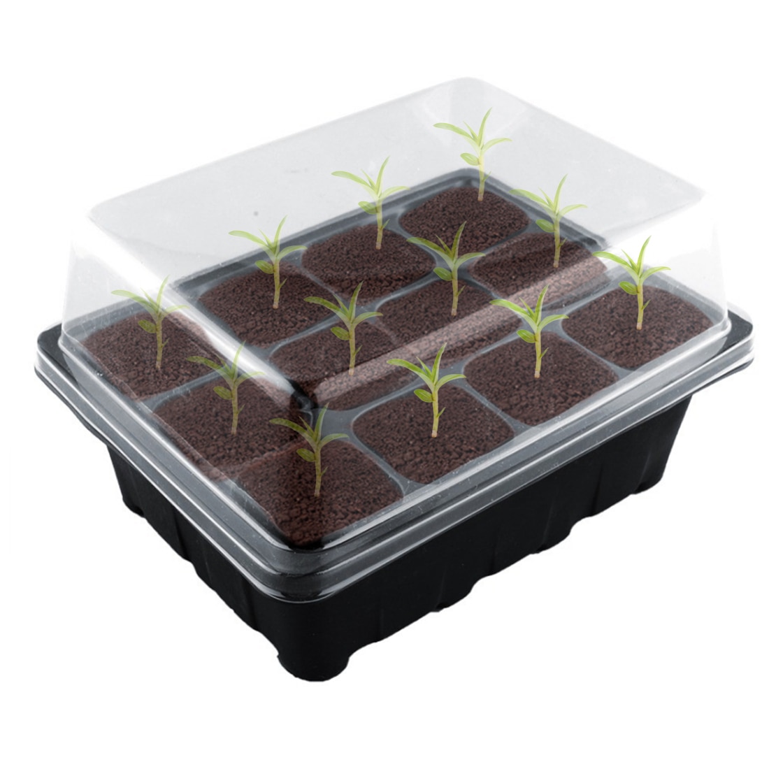 VICTMAX 5 Set 12 células maceta de vivero semilla para plantar Set de bandejas de caja para germinación con tapa jardín protector de cultivo
