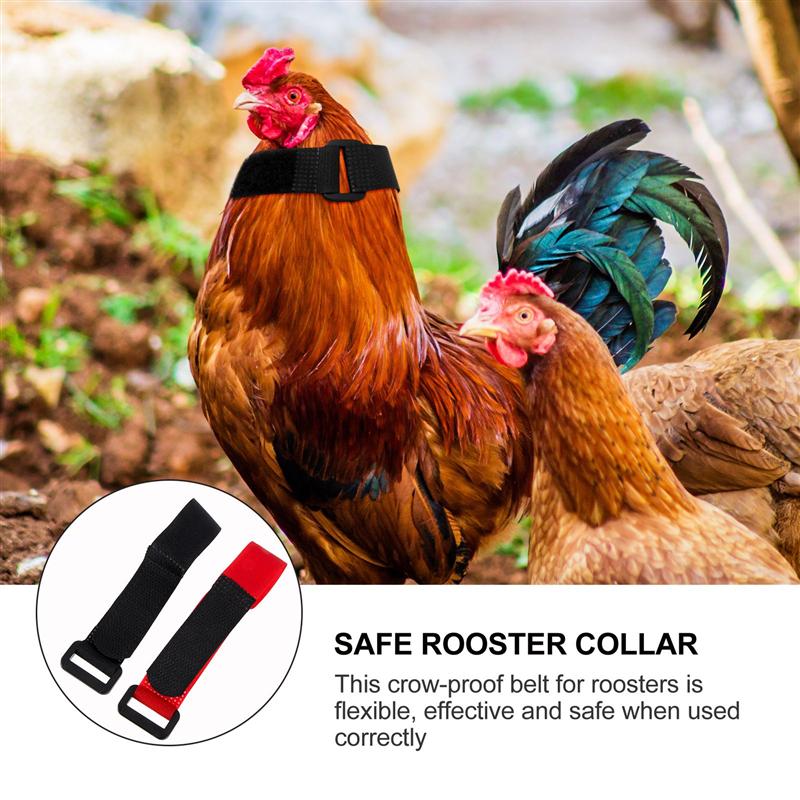 4pcs Rooster Anti-crowing Rooster Collar Anti-crowing Nylon Rooster Collar Poultry Supply