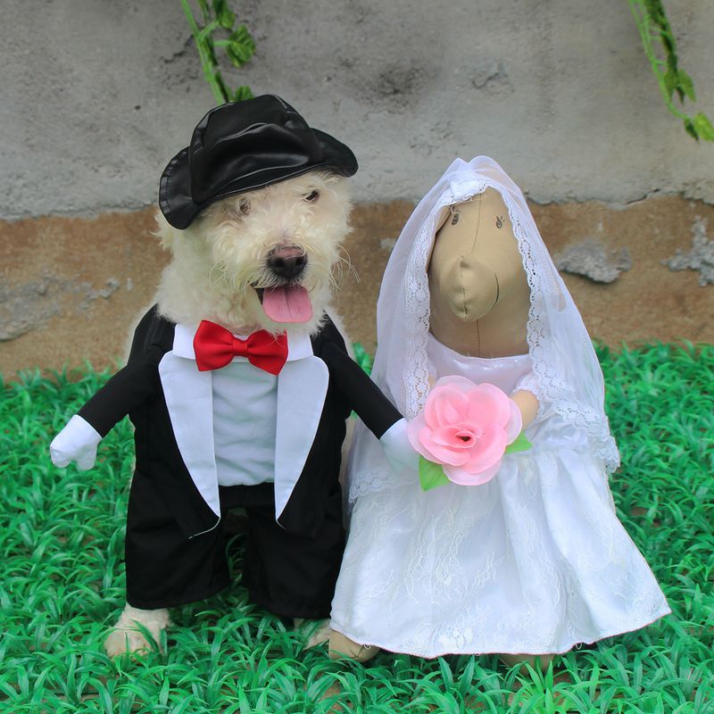 [MPK Store] Wedding Gown for Dogs, Beautiful Dog Wedding Dress, Pet Wedding Costume