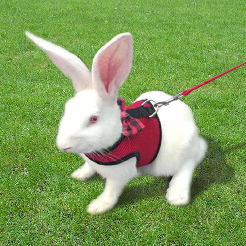 Kanin totoro reb slip kanin kæledyr kanin trækkraft hamster lille lop gå kanin trække reb sele kanin trække reb kanin