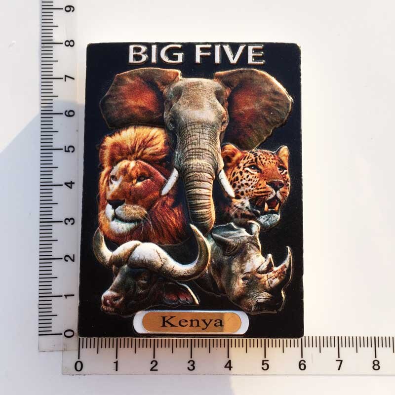 Réfrigérateur aimants Souvenir londres amérique Los Angeles afrique Kenya tanzanie tourisme magnétique réfrigérateur autocollants décoration: 8