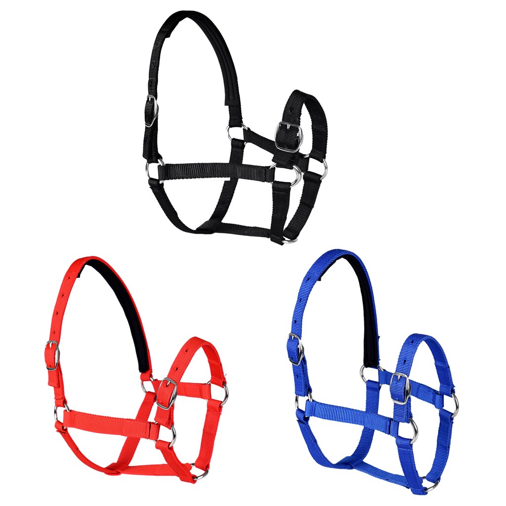 Adjustable Equestrian Western Horse Halter Fits 4.3ft - 5.4ft Horse Black/Blue/Red