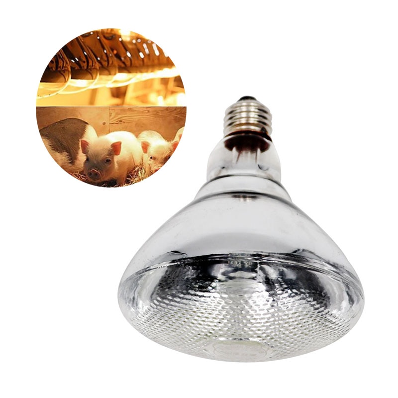 Animale da compagnia Lampadina Riscaldamento Allevamento Animali Lampada di Calore per Terrari Rettili Lucertole Maiale Pollo Isolamento Animale Domestico lampada Chioccia