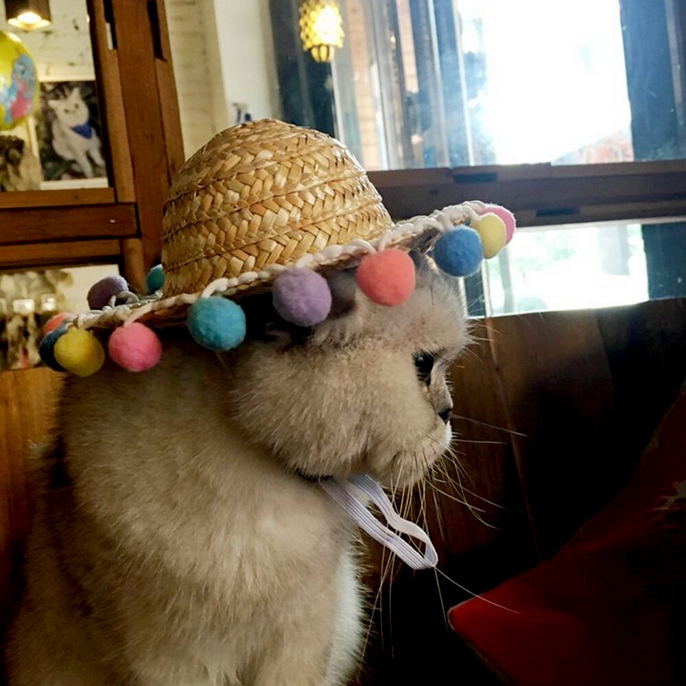 Behogar śmieszne słodkie zwierzęta domowe są słomy tkane kapelusz przeciwsłoneczny z kolorowe kulki dla małych psów kot kotek szczeniak festiwal urodziny impreza dostaw
