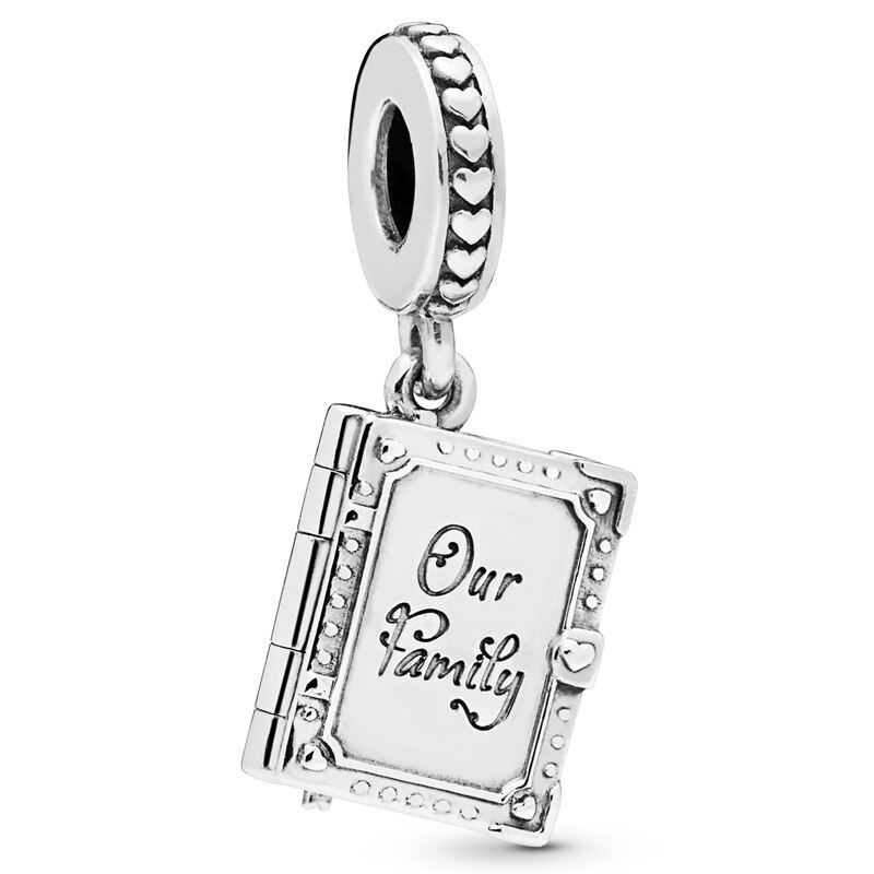 Queen Bee My Special Sister Light As A Feather Moon & Star Pendant Fit Bracelet 925 Sterling Silver Bead Charm Jewelry: 13