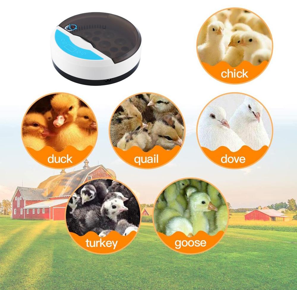 Fast Automatic Breeding Machine 9 Eggs Brooding Machine PC Field Breeding Machine Incubator Chicken Duck Poultry