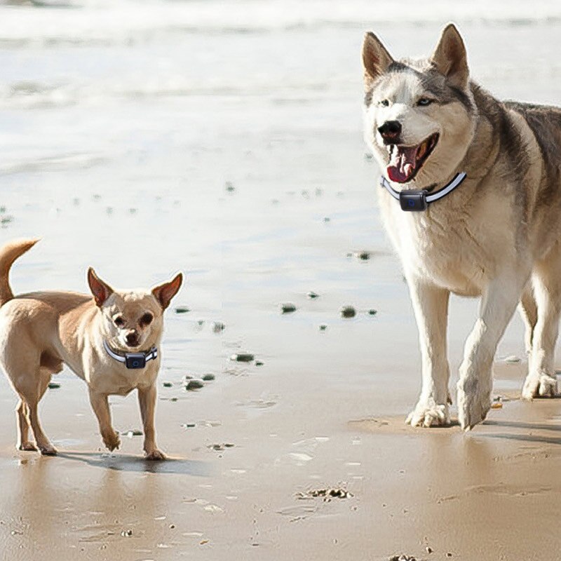 Pet GPS Locator Waterproof Anti-lost Real-time Tracking Postioning Collar for Dog Cats HG99