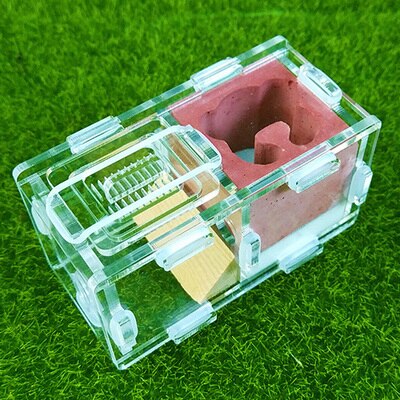 Maur slott maur spleise slott bionisk akryl gips maur reir kjæledyr maur slott verksted hjem maur reir: F2