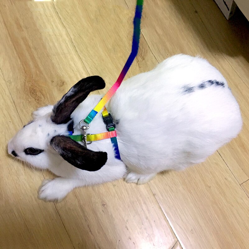 Huisdier Konijn Harness Leash Voor Zachte Nylon, Hardlopen, Wandelen Joggen Harnas Leash Voor Bunny, Kat, kitten En Andere Kleine Huisdier Dieren