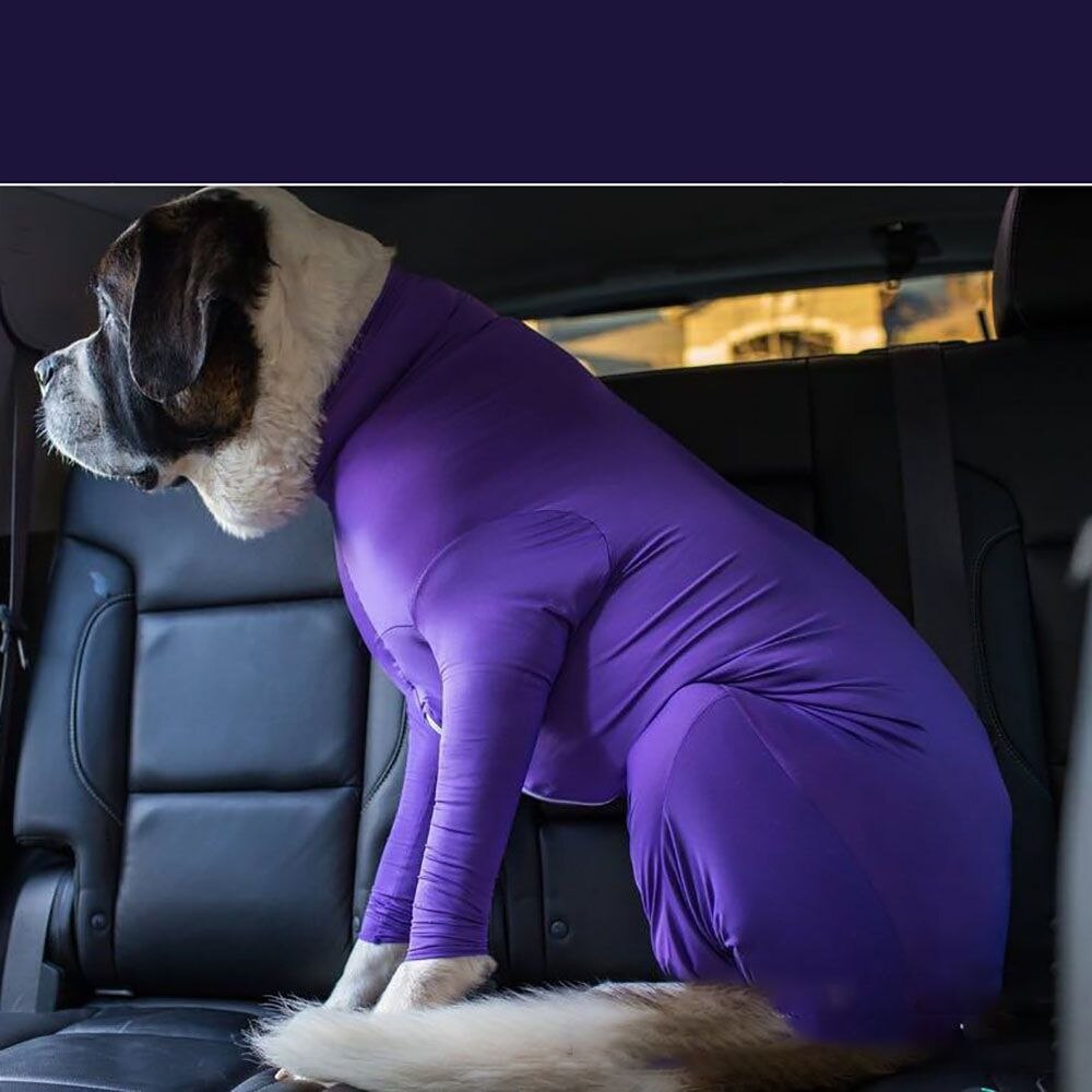 Talviset lemmikkikoiran vaatteet chihuahualle ranskanbulldogille pienet koirat pusero pitää koiran vaatteet lämpimänä mukavat koiran vaatteet