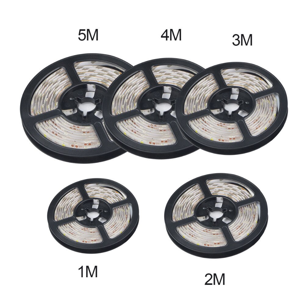 Tira LED RGB 2835 5m/10m Impermeable - Navidad, Cocina, Techo - 12V Con Mando Y Regulable