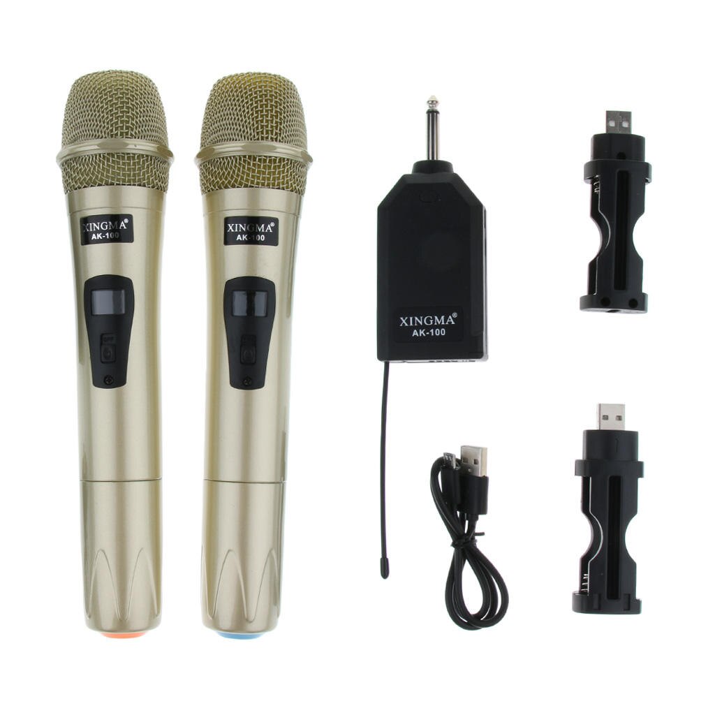 1 Set High Sensitivity Wireless Microphone Mic Mike w/ Receiver USB Cable